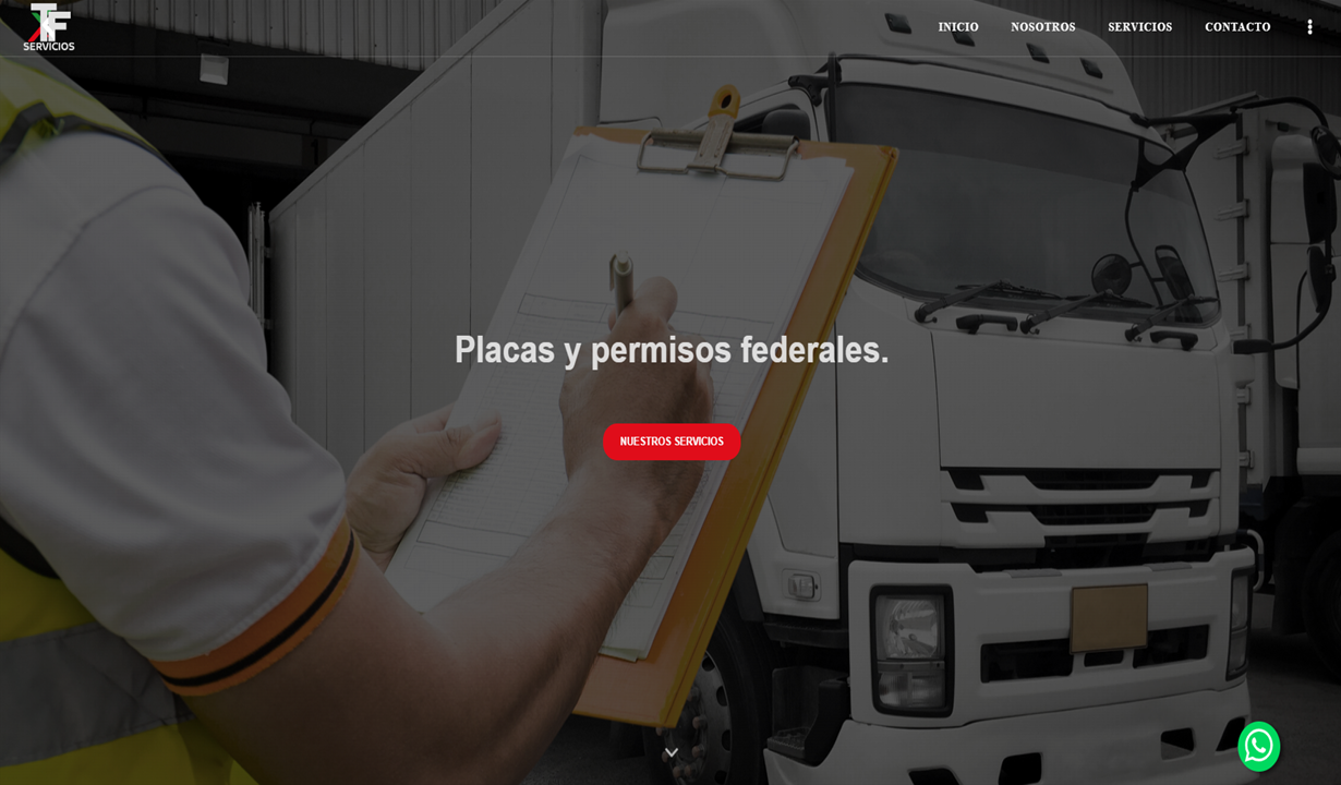 portfolio tfservicios image